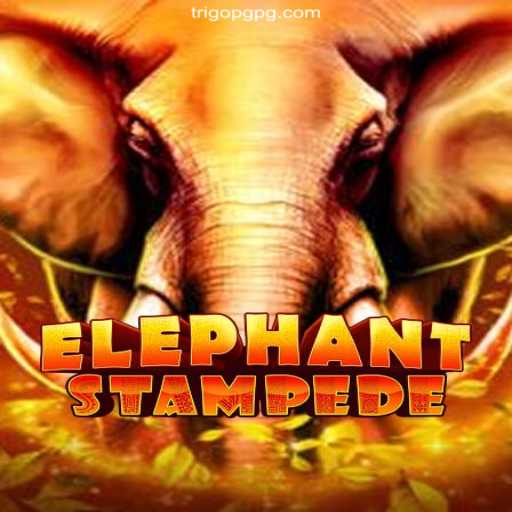 Discover the Excitement of ElephantStampede at Trigopg.com